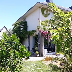 Des Hortensias Paimpol